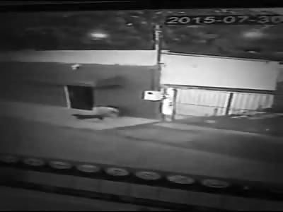 Sick Twisted Fucker Busted Trying to Have Sex with a Dog