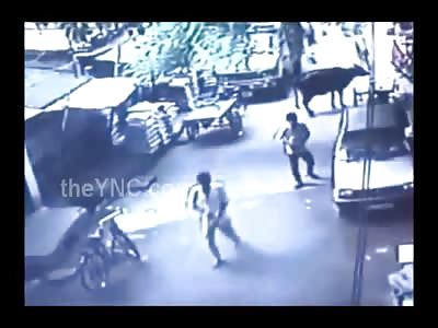 Man in Yellow Chased Down and Executed by Thugs