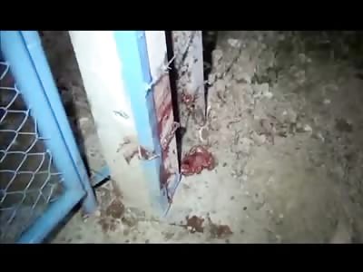 Womans Head Crushed When she Hit a Fence During Horrific Accident