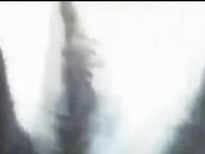 Stupid is as Stupid Does...