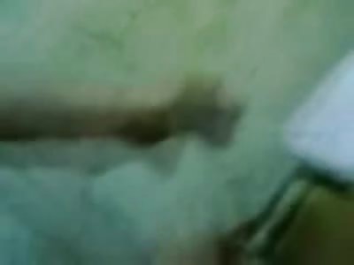 Indian Amateur Woman Arranged Sex Marriage