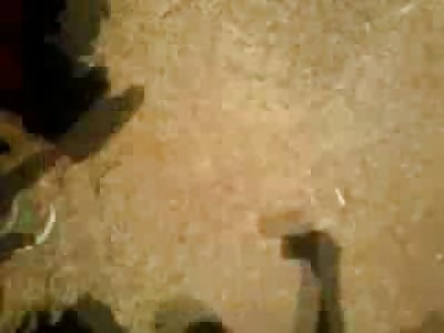 Savages Kill their Food as they Cook it in a Campfire...it's a Man they're Cooking