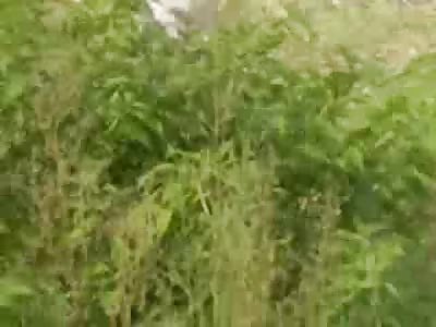 Be Thankful....this is How some People have to Bath