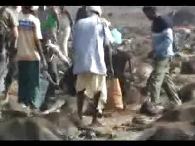 Friend of Kelly Cyclone was Shot Dead,   Kellynha Cyclone