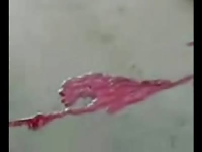 Twitching Biker stares at Cameraman