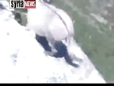 Barbaric Scum Push Defenseless Donkey over a Cliff 