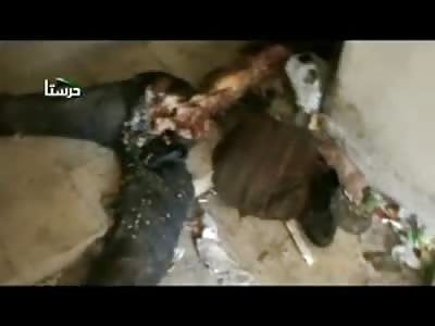 Up Close Unbelievable Video of just a Pair of Legs...