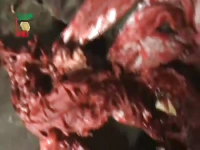 Decapitated Man's Gawked at by People after Being Found