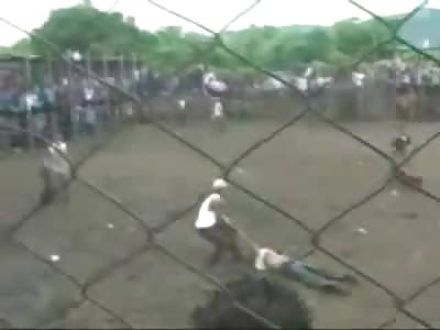 Amateur Bullfighter gets Treated like an Amatuer by the Bull 