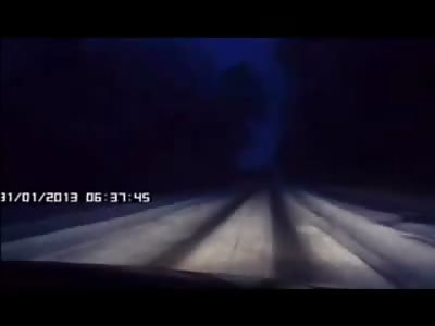 Bambi is Cut in Two from Accident on Snowy Road in Russia