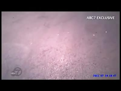 Police State: US Soldier is Slapped by Cop..What would you have Done? 