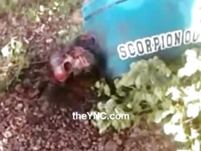 Ironically a Man wearing a Scorpion shirt is being Eaten by Bugs 