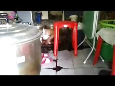 Smelly Putrefied Female is the Main Attraction today in this Part of Thailand