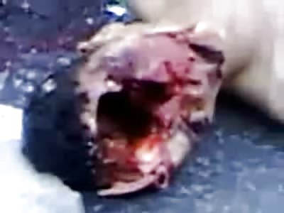 Vacated Skull...Man legt with No Face and No Brain after a Deadly Meeting with the Street