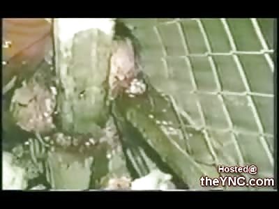 What your Face looks like if you hit a Fence at 120 MPH