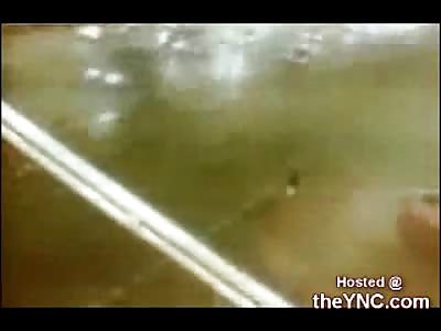 Lady Walking across a busy Street is Killed By Car