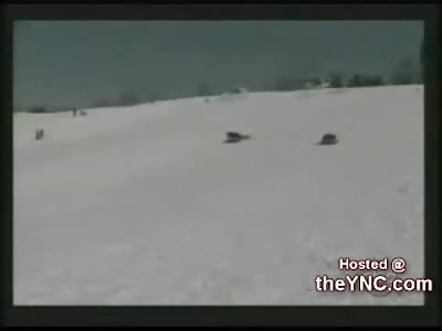 News Reporter in Canada Gets Owned Hardcore