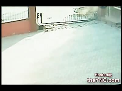 Boy killed by an Out of Control Car