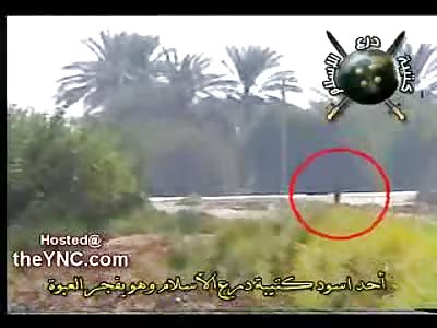 Moronic Terrorist totally botches his attempt at a US Hummer