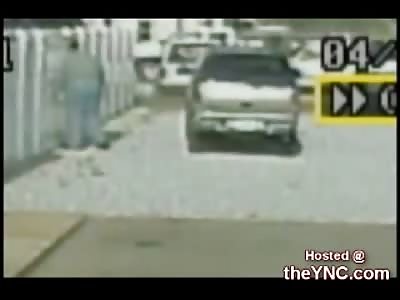 Teen Throws Two Dogs over a Bridge