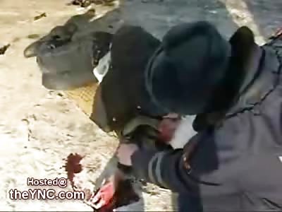 Man in Russia drives his Car underneath a Truck