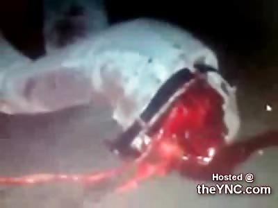 Horrific Aftermath of Biker Cut in Half after Accident.