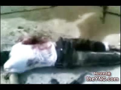 Local Iraqi slaughters Five Terrorists with an Automatic Weapon