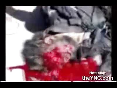 Horrific Isreali Attack leaves Two men ripped open on the Sidewalk (Extremely Graphic)