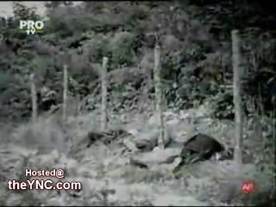 Brutal up Close Execution of Romanian Prime Minister