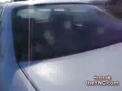 Suicide Bomber shredded by US Troops lies Dead in his Car