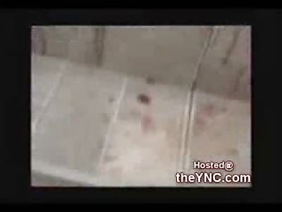 Follow the Trail of Blood to the Murdered Gang Member