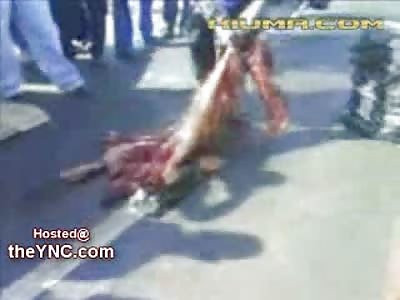 Extraordinary Video of a Man Flattened and stuffed into a Garbage Bag