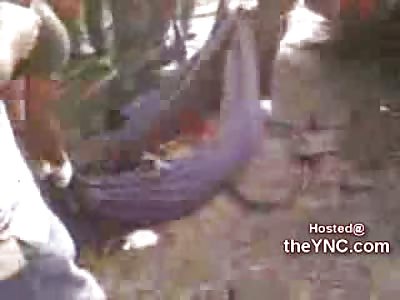 Man completely Parted in Half is Loaded Up into a Truck as People take Cell Phone Pictures