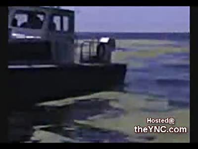 Drowned Body found among the Algae