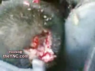 Police Brutally Hacked and Shot to Death in their Cruiser