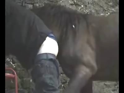 WAY too Underground... Even for Underground Watch till End of Video (Strong Warning and Disturbing)