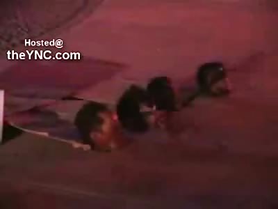 4 Heads...One Sidewalk