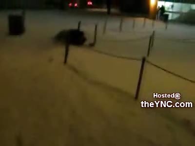 MMA vs Taekwondo Street Fight Goes Way too Far......