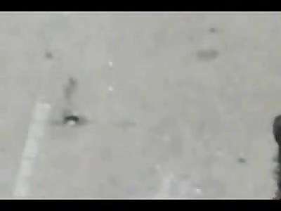 HAHA: Crazy Couple Bang Outside While People Snap Pictures and Film their Escapade 