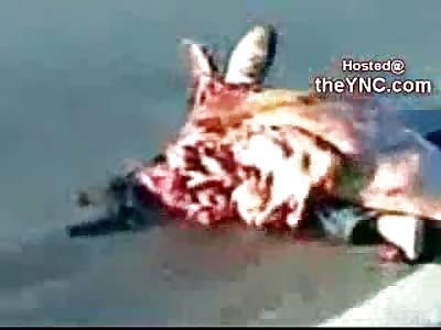 Mans Helmet Collapses So Does His Head....