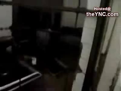 Inside of a Rotting, Smelly Fly Infested Morgue