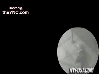 Truly Sad...Good Samaritan Homeless Man Bleeds to Death after being Stabbed...No One Helps