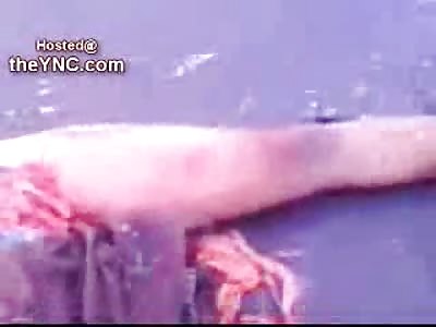 TRUE GORE: 3 People Brains and Guts leave Complete Mess on Street