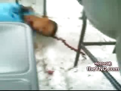 14 Year Old Teen Murdered on Public  Bus