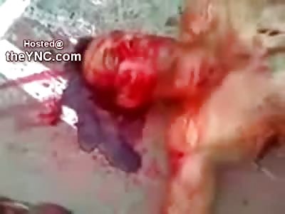 A Murderous Bloodbath: Man with Both Hands Severed Hit with Machete and Dying, All Others Around Him Already Dead