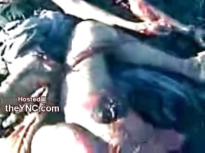 GRAPHIC Suicide: Ripped in Half