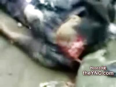 Man Thrown into Curb Cracked Skull 