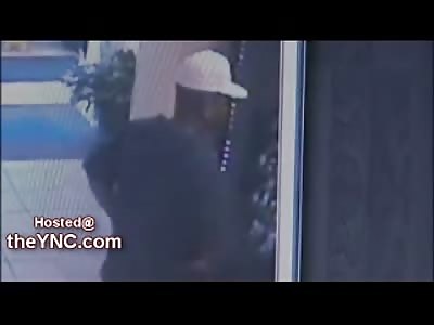 WOW: Robber Shoots Himself in the Head (Fatal)  by Accident as Gun Discharges Twice...(Read info in forum Link)