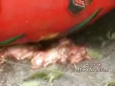 What a 16 Year Old Biker and a Hard Faceplant Look Like