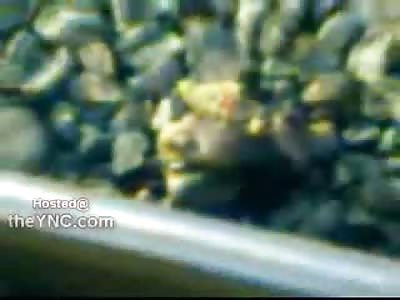 Smile....Headless Corpse found after Suicide still Smiling